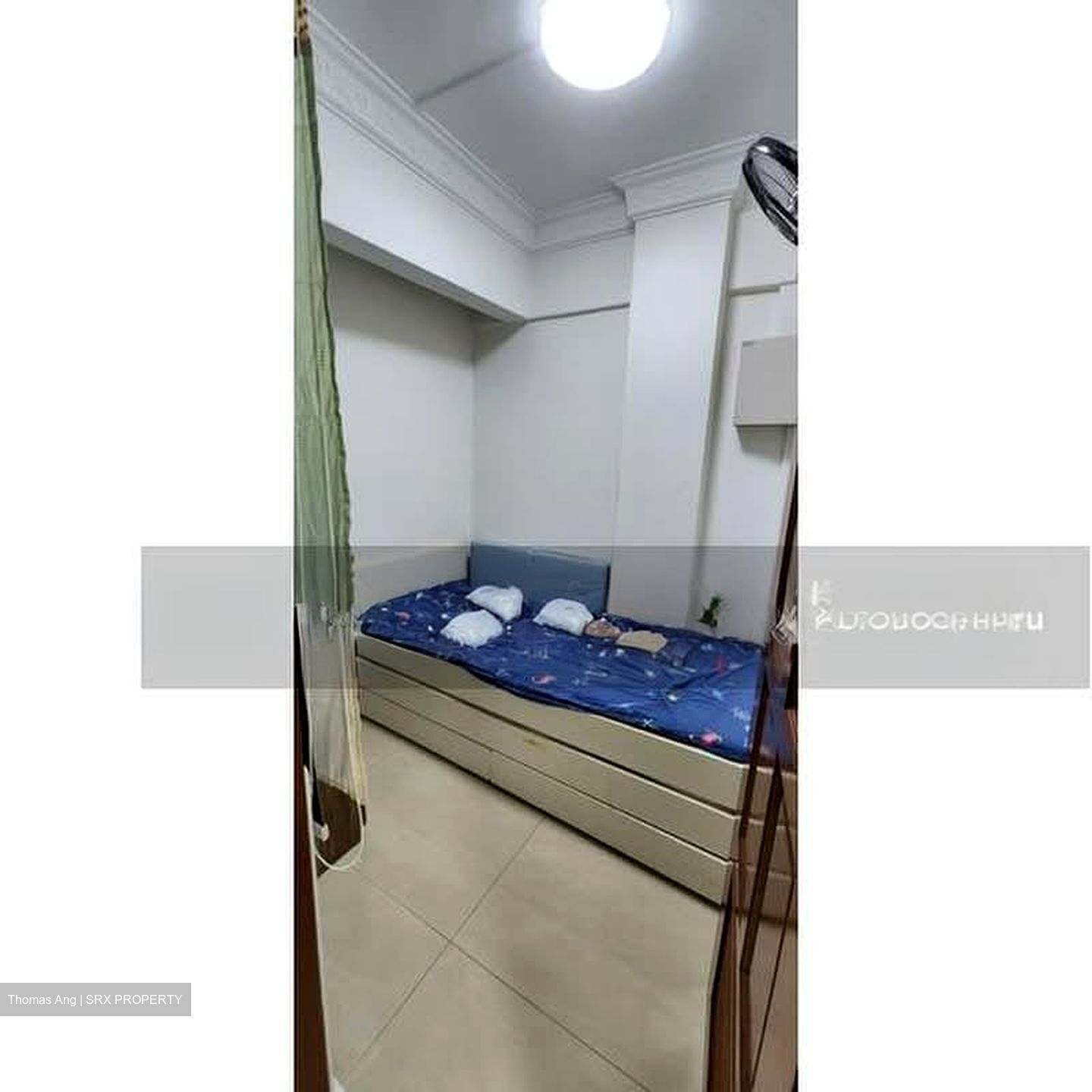Pandan Valley (D21), Condominium #585056071